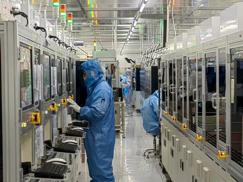 金融活水悉心澆灌，技術服務護航民營經濟滿帆前行
